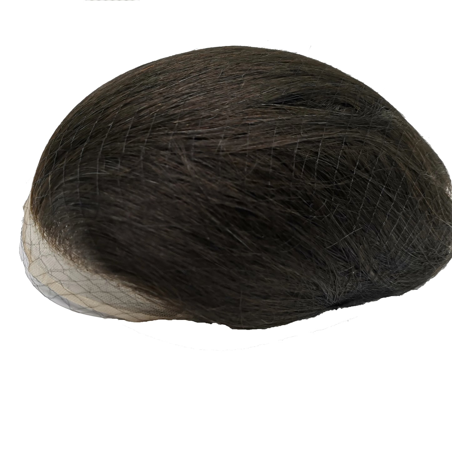 NLW Toupee for Men European Human Hair Pieces Hair Prosthesis Mens Swiss Lace Front with PU Around Hair Replacement System