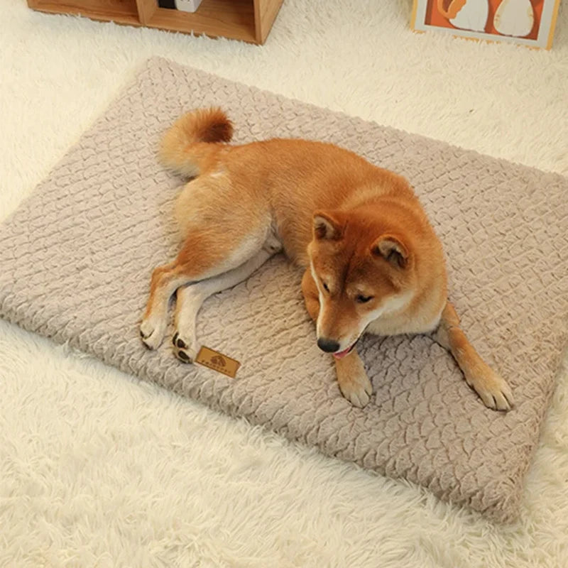 Dog Beds Pet Bed Dogs Blanket Pets Products Large Sofa Breeds Cats Big Cushion Medium Cushions Fluffy Kennel Puppy Bed