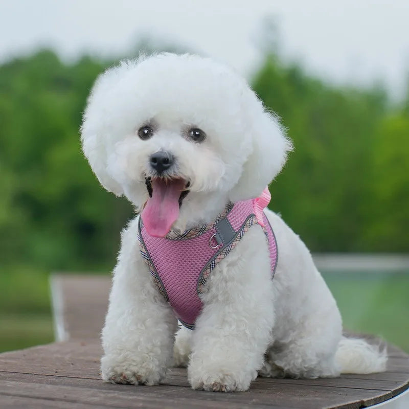 Chest Strap Dog Collar Leash Accessories Tactical Vest Cats Things for Dogs Big Harness Small Pet Supplies Collars Pets Products