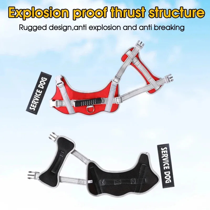 Puppy Harness for Dogs Accessories Dog Supplies Collars Harnesses Leashes Big Dog Leash Pet Collar Small Pets Things