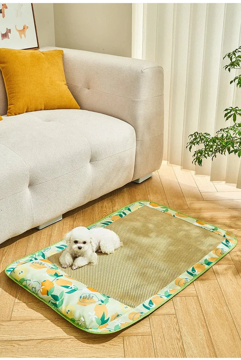 Summer Cooling Pet Bed Cats House Accessories Puppy Products Dog Mat Things Houses and Habitats Beds Accessory All Supplies