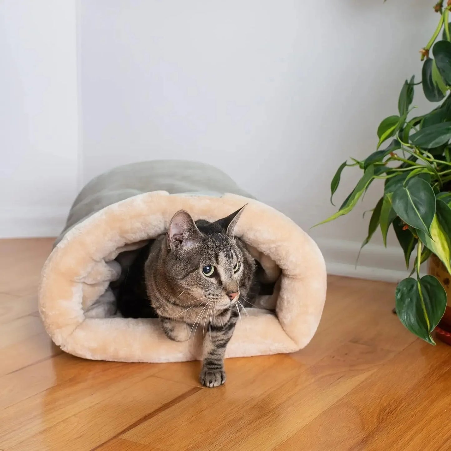 Cats Bed Basket Accessory House Kitten Houses and Habitats Accessories All Pet Products Dog Mat Supplies Beds Puppy Things Goods