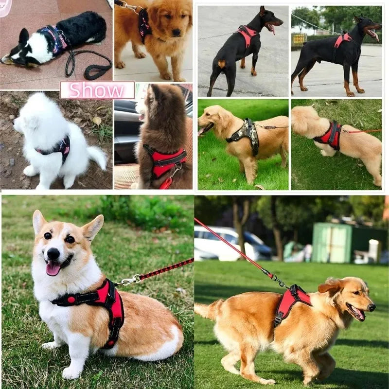 Dog Collars Choker Collar Harness Leash Gps Training Harnesses and Wears Necklaces Lanyard Big Retractable Dogs Accessory Things