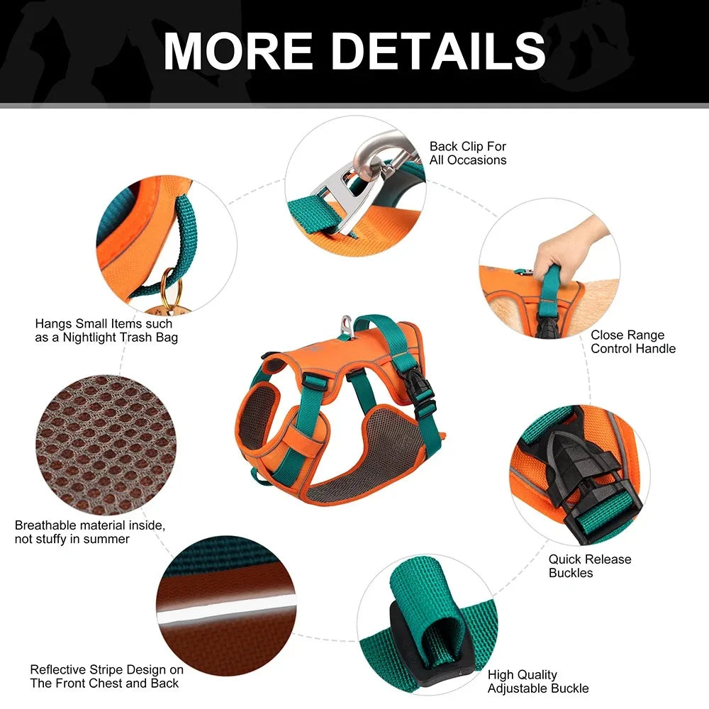 Dogs Chest Strap Dog Harness and Leash Set Small Pet Supplies Puppy Accessories Big Breeds Pets Backpack Large Collar