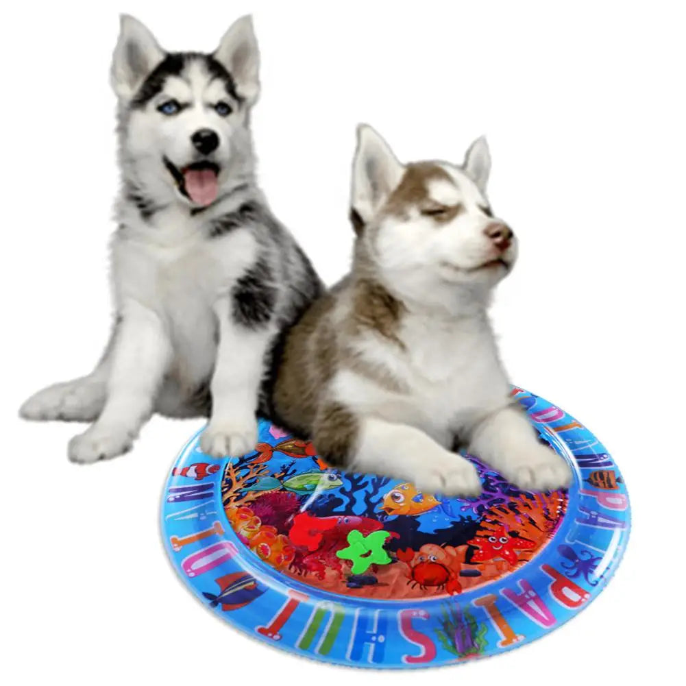 Sensory Water Mat Thickened Sensor Play Water Sensor Cat Mat Pet Supplies Cleaning Cooling Mat Summer Cat Pets Accessorie