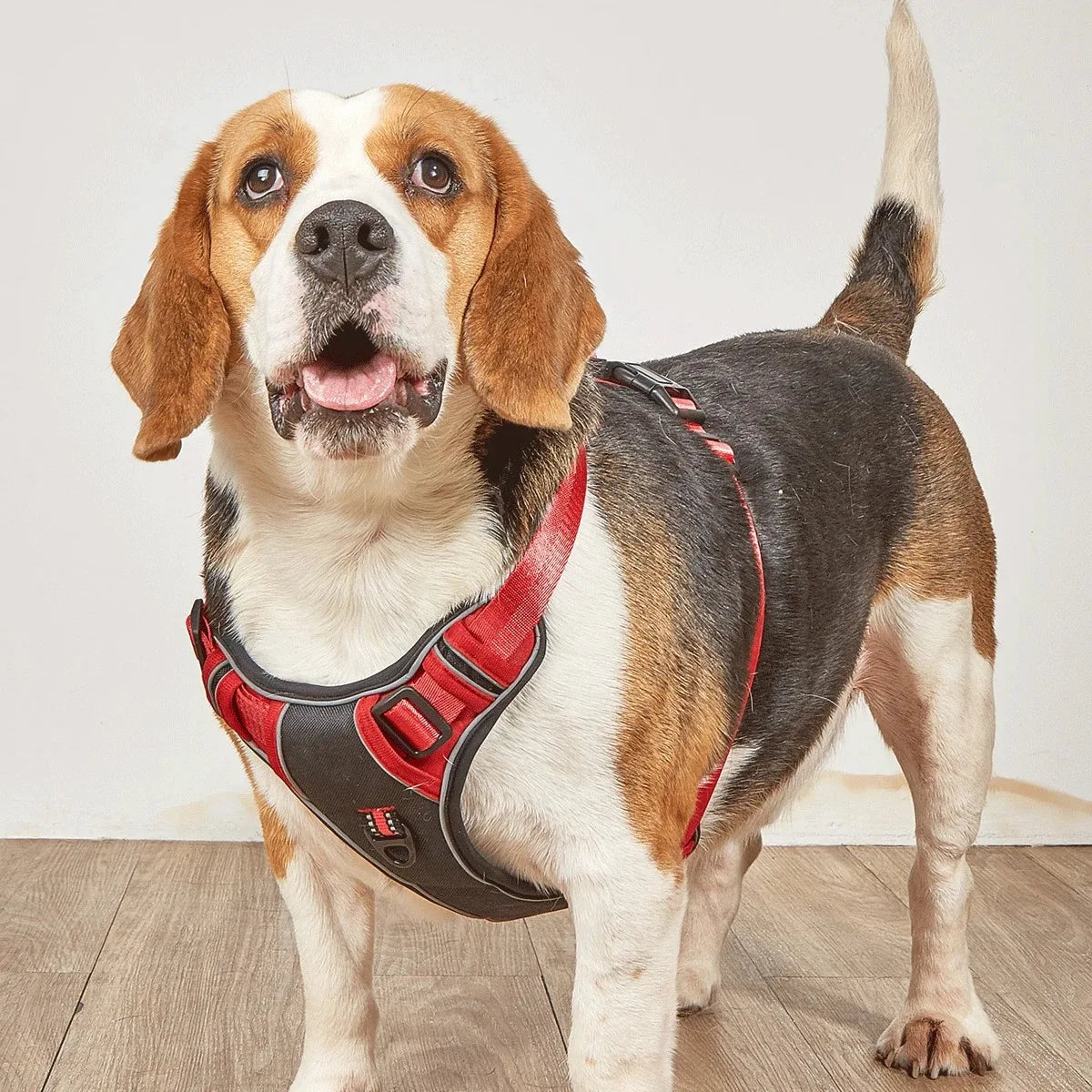 Chest for Dog Harness for Dogs Puppy Accessories Collars Harnesses Leashes Pet Dog Products Collar Leash
