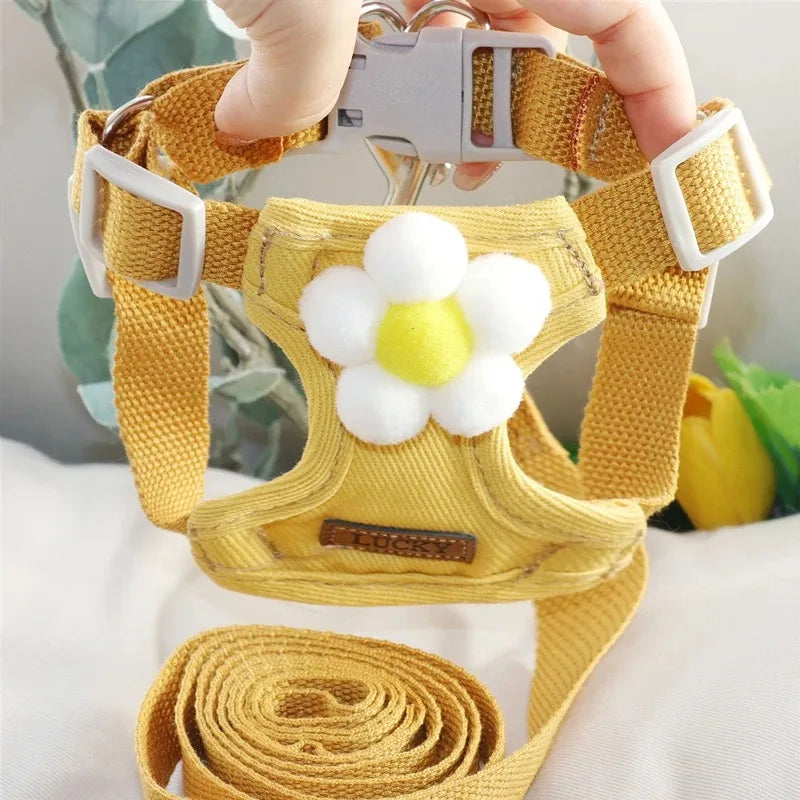 Cats Collar Dog Products Puppy Harness Tactical Vest Chest Leash Accessories Pet Supplies Small Dogs Collars Things Pets Product