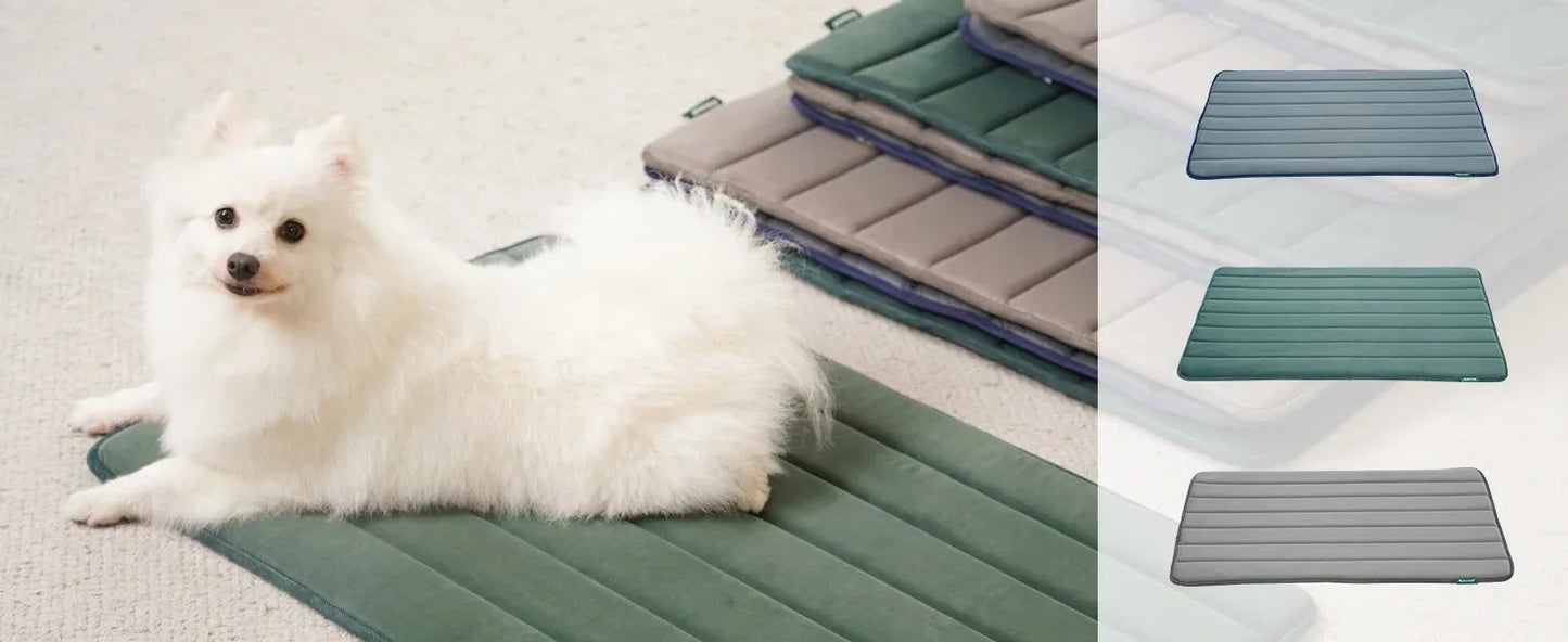 Summer Cooling Pet Bed Sofa Dog Accessory Big Cushion Pets Dogs Baskets Large Beds Products Small Cushions Cats Mat Fluffy Bad