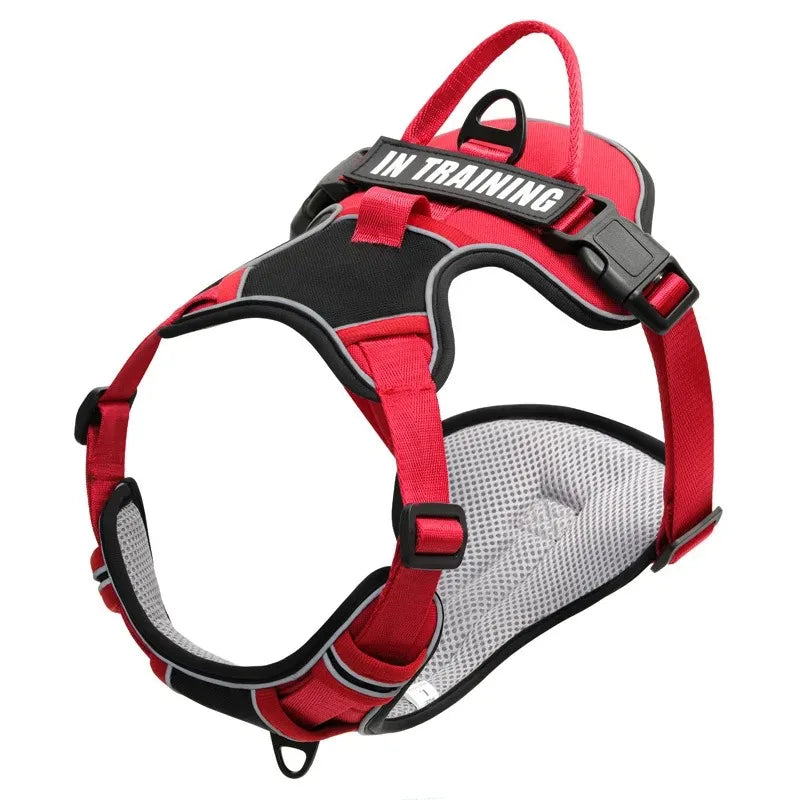 Chest for Dog Harness for Dogs Puppy Accessories Collars Harnesses Leashes Pet Dog Products Collar Leash