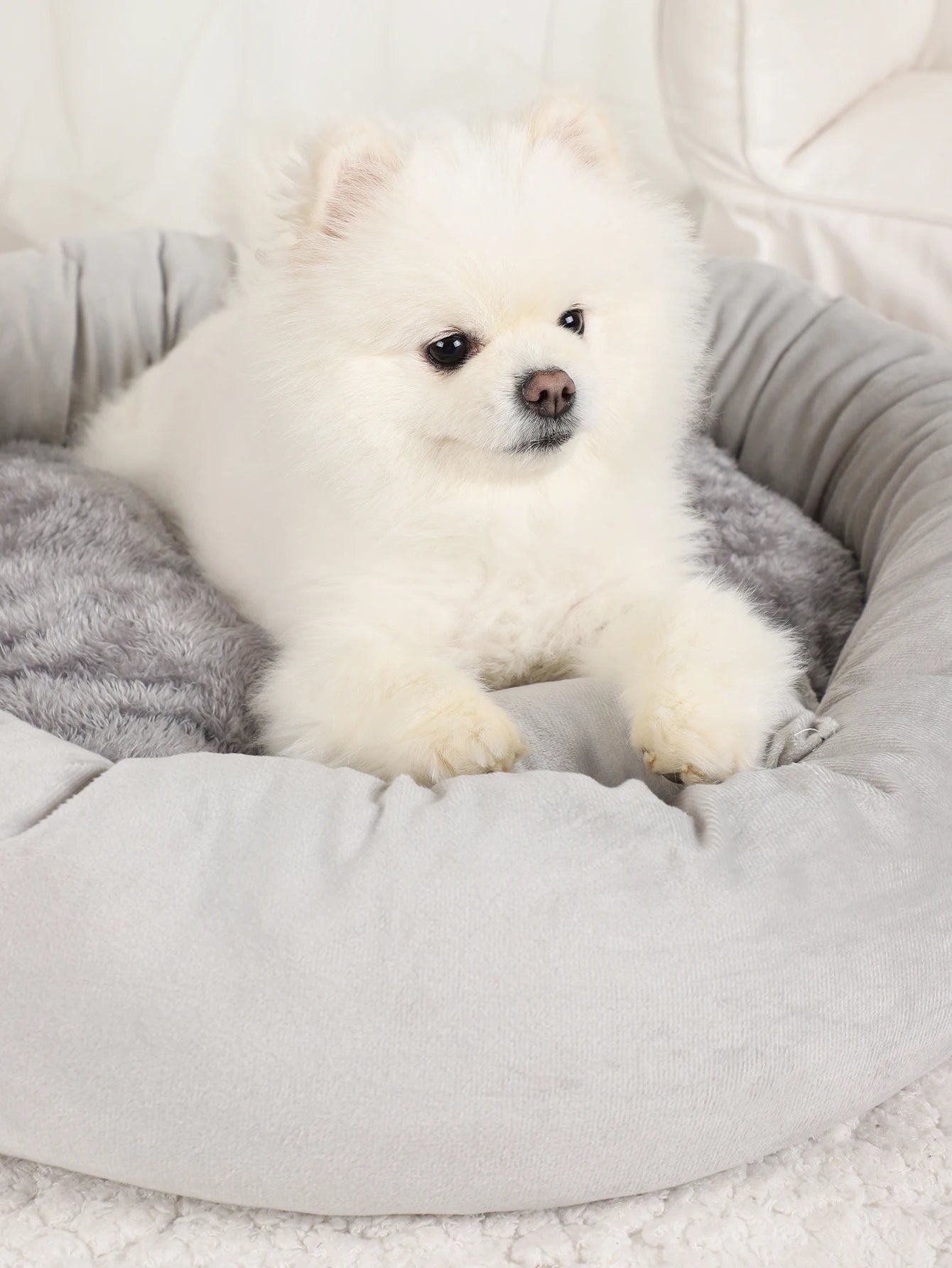 Pet Beds Small Dogs Puppy Bed Sofa Dog Accessorys Accessories Plush Medium Basket Warm Washable Fluffy Kennel Pets Products