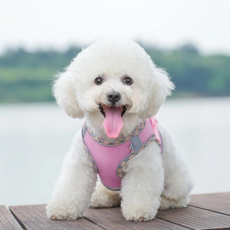 Chest Strap Dog Collar Leash Accessories Tactical Vest Cats Things for Dogs Big Harness Small Pet Supplies Collars Pets Products