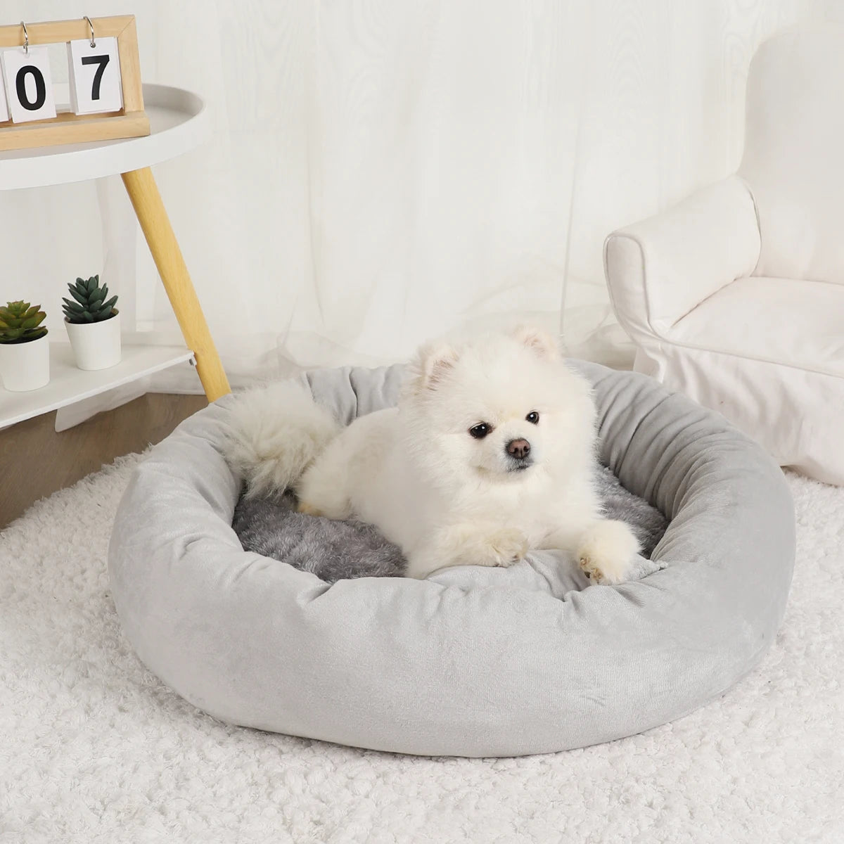 Pet Beds Small Dogs Puppy Bed Sofa Dog Accessorys Accessories Plush Medium Basket Warm Washable Fluffy Kennel Pets Products