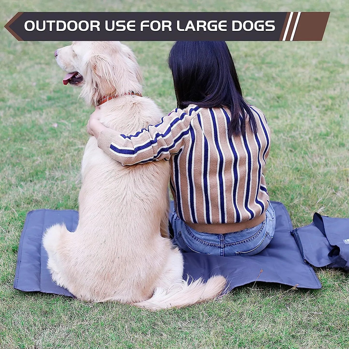 Cooling Bed for Dogs Summer Sofa Pet Dog Medium Accessories Fluffy Beds Kennel Basket Accessory Pets Puppy Cushions Mat