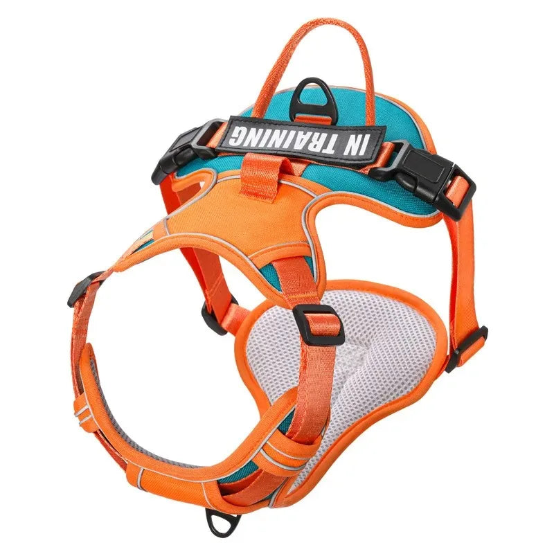 Chest for Dog Harness for Dogs Puppy Accessories Collars Harnesses Leashes Pet Dog Products Collar Leash