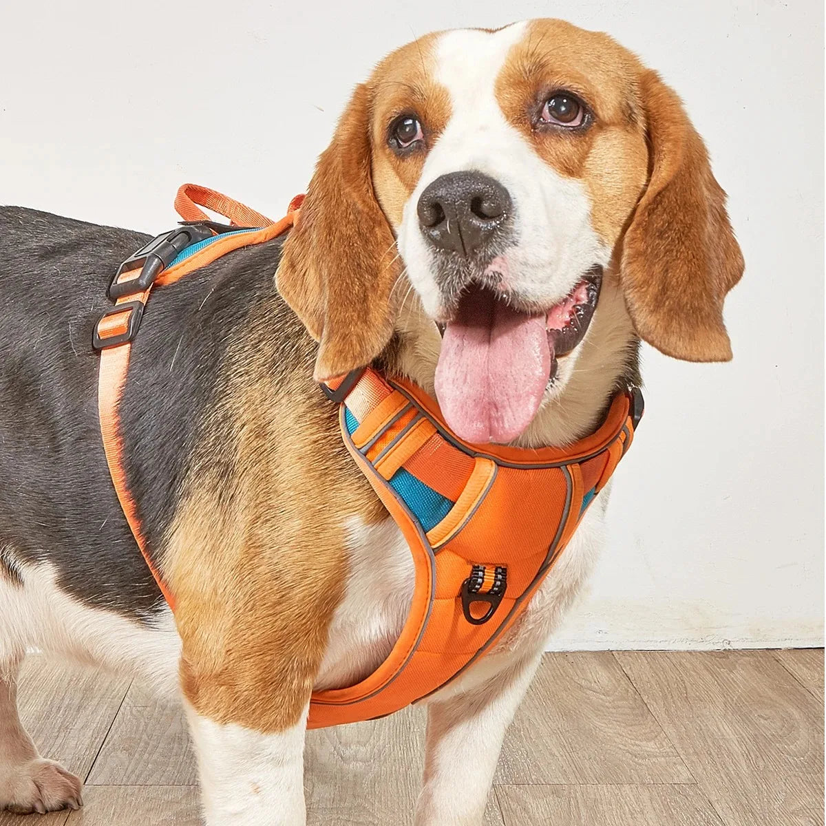 Chest for Dog Harness for Dogs Puppy Accessories Collars Harnesses Leashes Pet Dog Products Collar Leash