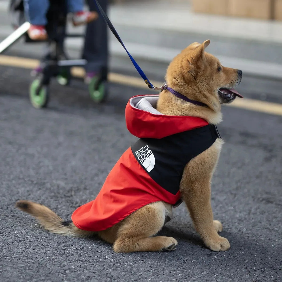 Clothes for Dog Summer Puppy Clothing Doggy Pet Dogs Pets Shirts Apparel Blouse Shirt Spring Supplies
