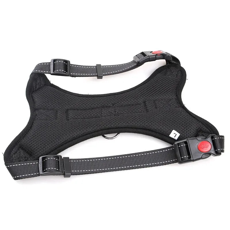 Dog Collars Choker Collar Harness Leash Gps Training Harnesses and Wears Necklaces Lanyard Big Retractable Dogs Accessory Things