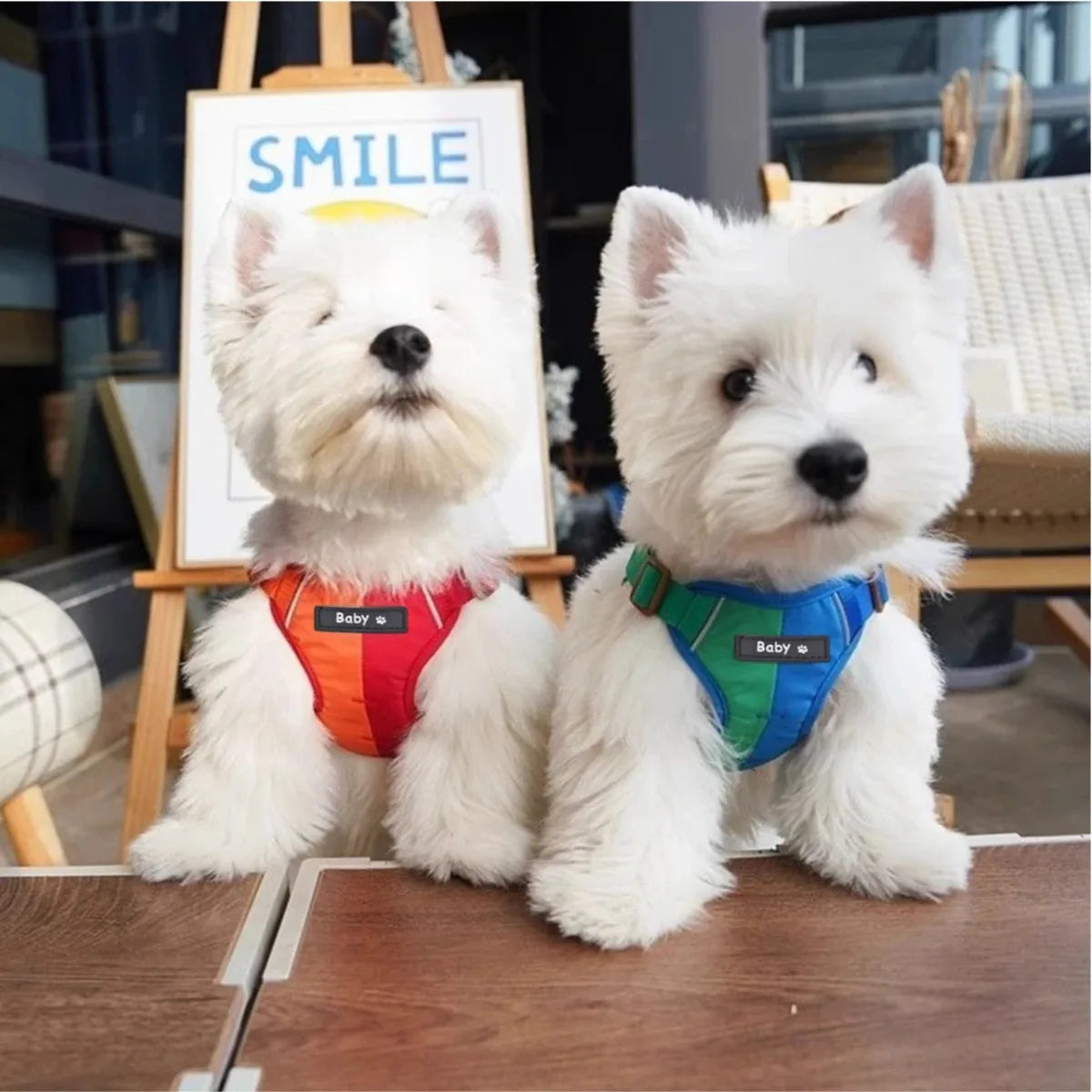 Chest Strap Dog Accessories Collar for Dogs Collars Pet Pets Supplies Cats Big Harness Puppy Small Products Tactical Vest