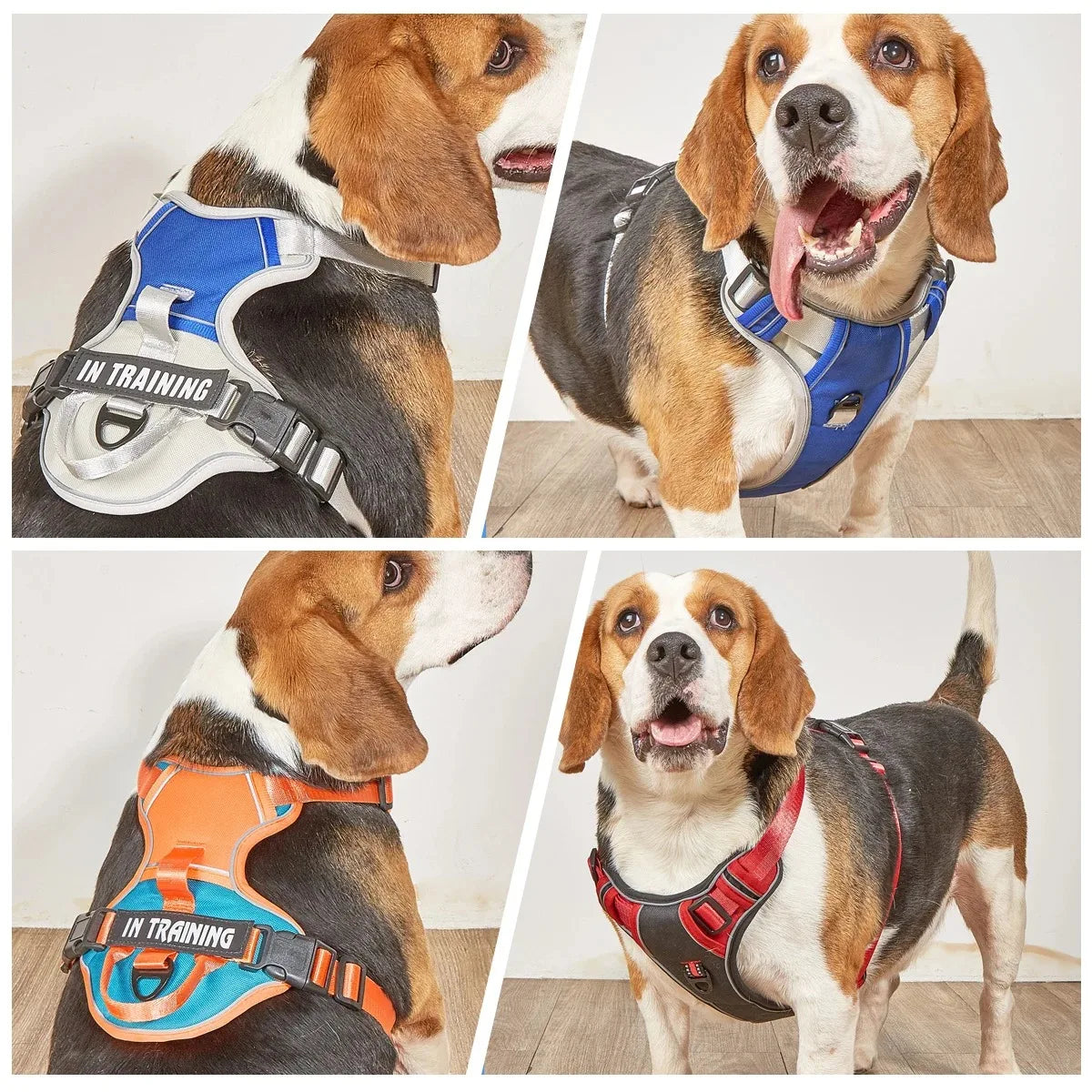 Chest for Dog Harness for Dogs Puppy Accessories Collars Harnesses Leashes Pet Dog Products Collar Leash