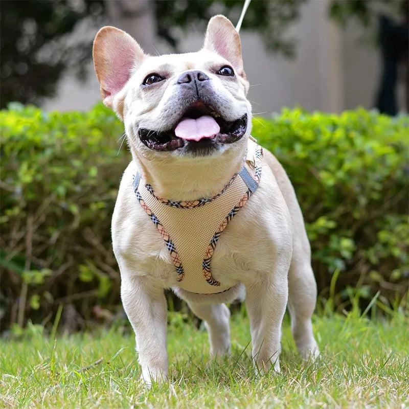 Chest Strap Dog Collar Leash Accessories Tactical Vest Cats Things for Dogs Big Harness Small Pet Supplies Collars Pets Products