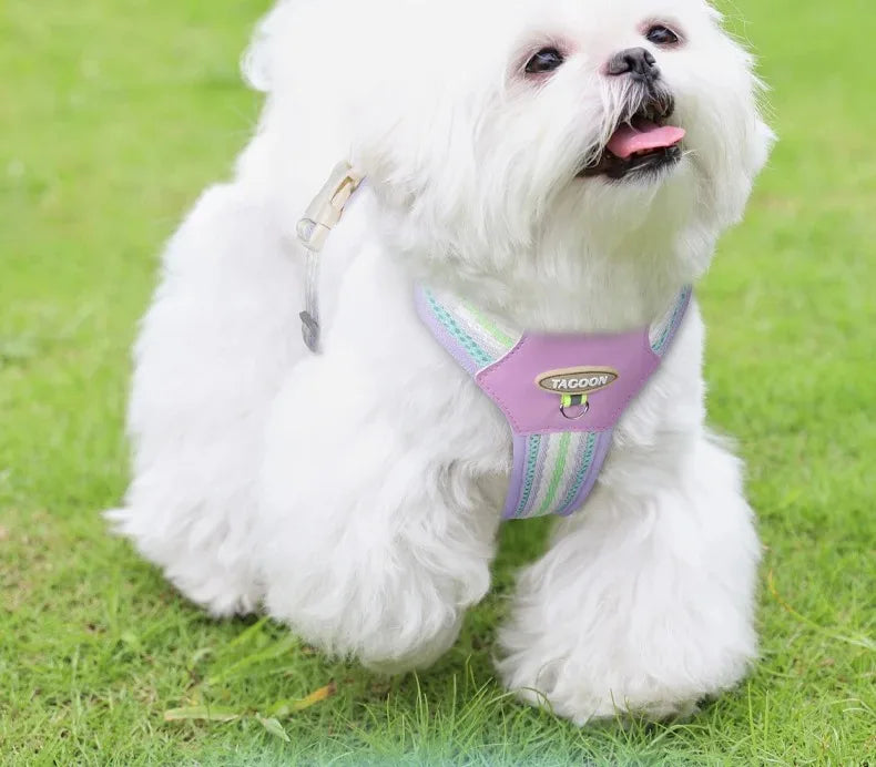 Puppy Harness Collar Dog Big Pet Tactical Vest Accessories Supplies Cats Chest Leash Dogs Pets Things Small Products Collars