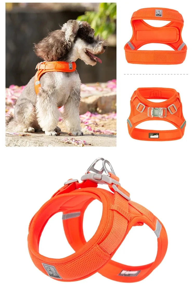 Pet Supplies Chest Strap Dogs Accessories Tactical Vest Dog Harness Puppy Leash Collar Things Big Cats Collar