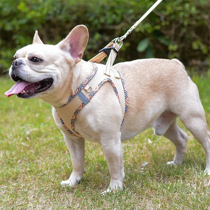 Chest Strap Dog Collar Leash Accessories Tactical Vest Cats Things for Dogs Big Harness Small Pet Supplies Collars Pets Products