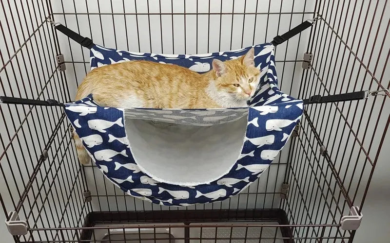 Cats Beds Hammock in Cage Pet Bed Products Summer Accessories Furniture Hammock Pets Things Hammocks Hanging Houses