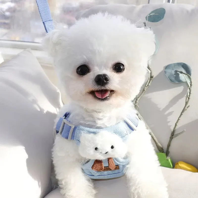 Cats Collar Dog Products Puppy Harness Tactical Vest Chest Leash Accessories Pet Supplies Small Dogs Collars Things Pets Product