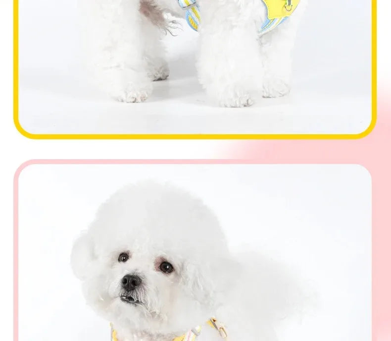 Puppy Harness Collar Dog Big Pet Tactical Vest Accessories Supplies Cats Chest Leash Dogs Pets Things Small Products Collars