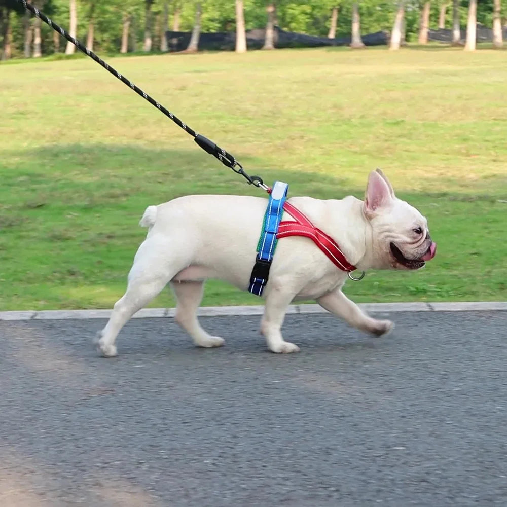 Dog Harness Chest Strap Puppy Accessories Pet Supplies Collar Tactical Vest Dogs Things Leash Cats Products Collars