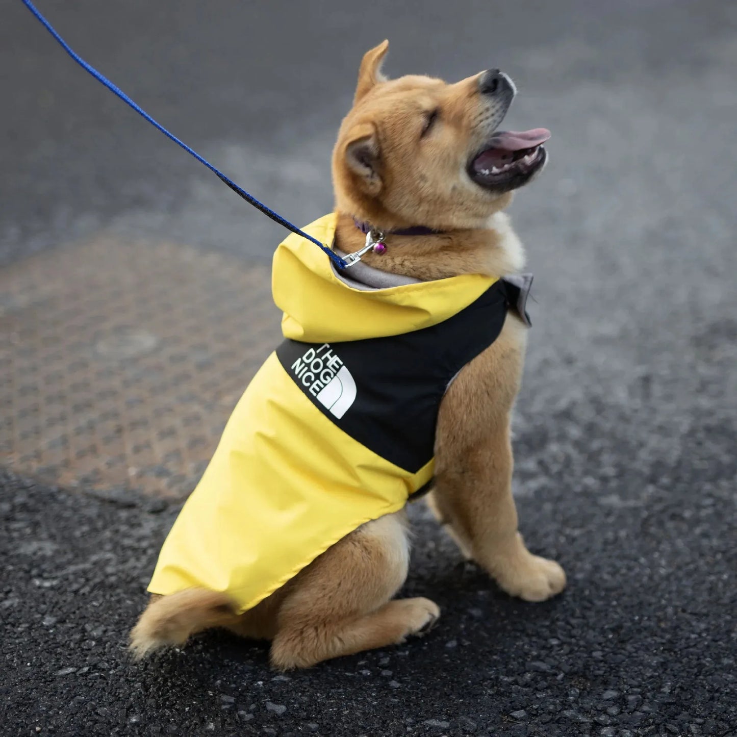 Clothes for Dog Summer Puppy Clothing Doggy Pet Dogs Pets Shirts Apparel Blouse Shirt Spring Supplies