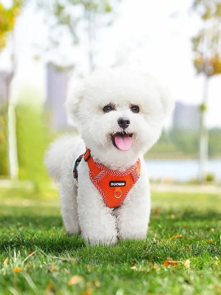 Pet Supplies Chest Strap Collars Dog Harness Collar for Cats Accessories Pets Dogs Products Small Tactical Vest Puppy Leash