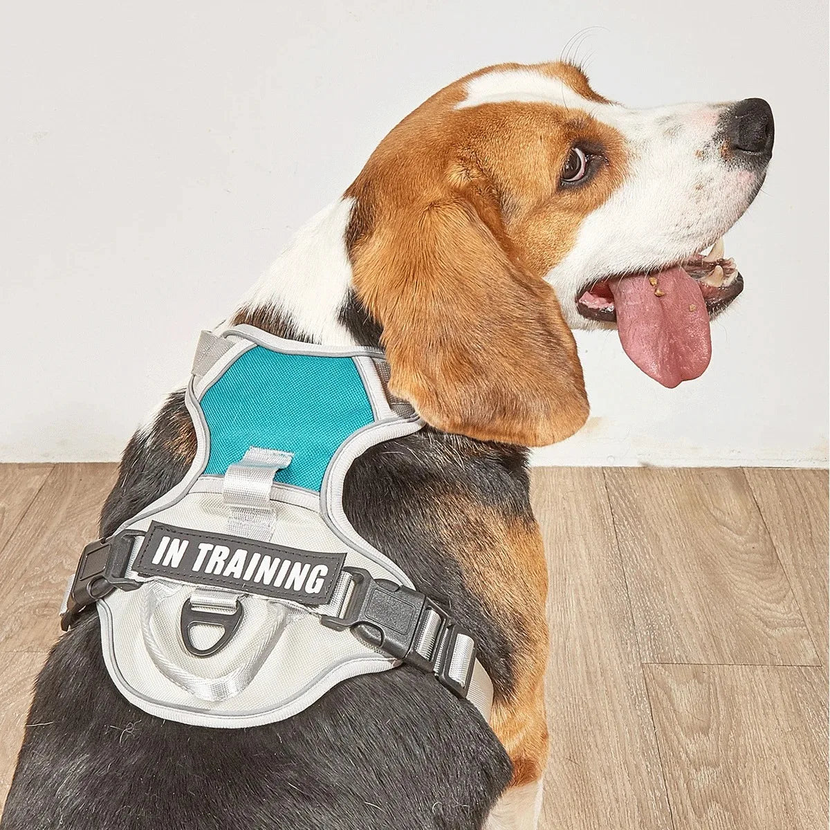 Chest for Dog Harness for Dogs Puppy Accessories Collars Harnesses Leashes Pet Dog Products Collar Leash