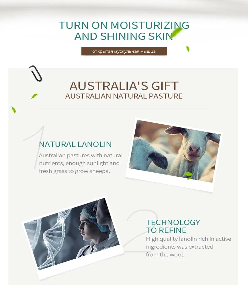 LAIKOU Australian Lanolin Oil Cream Moisturizing Nourishing Oil Controlling Skincare Face Cream, Making Skin Smooth and Elastic