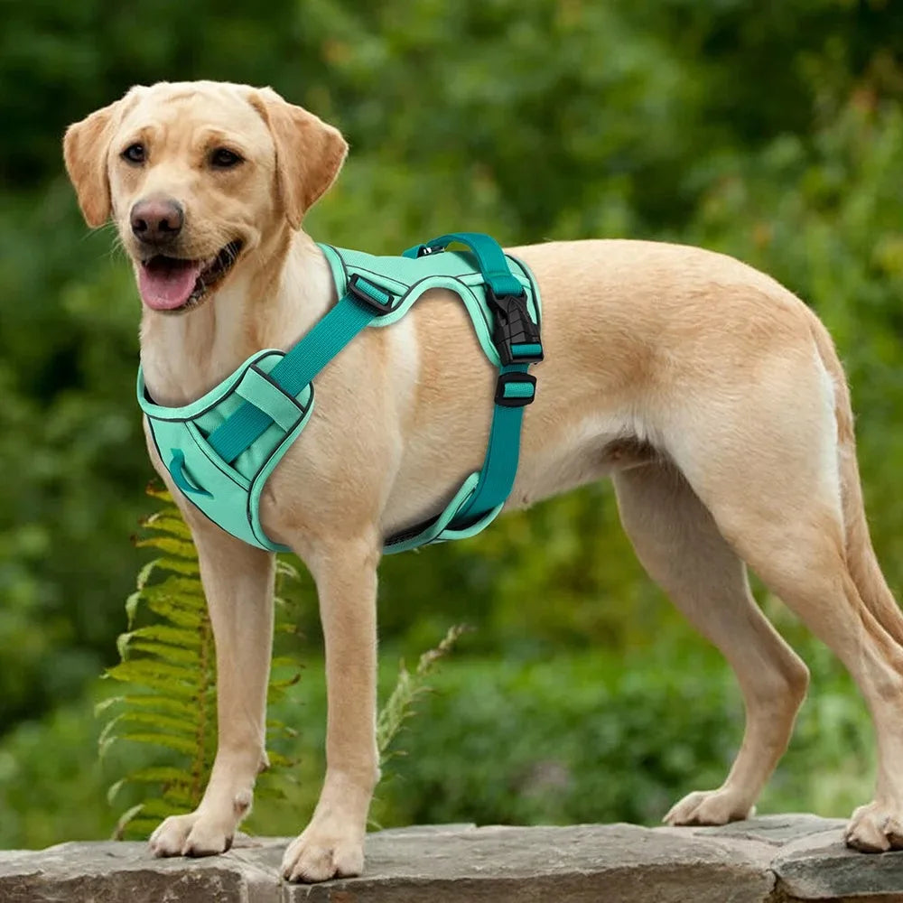 Dogs Chest Strap Dog Harness and Leash Set Small Pet Supplies Puppy Accessories Big Breeds Pets Backpack Large Collar