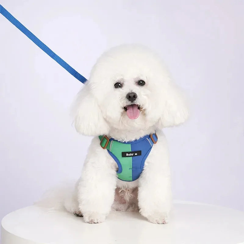 Chest Strap Dog Accessories Collar for Dogs Collars Pet Pets Supplies Cats Big Harness Puppy Small Products Tactical Vest