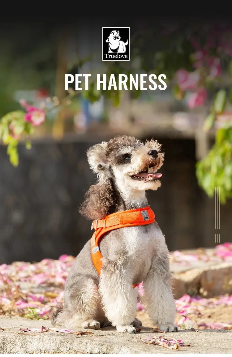 Pet Supplies Chest Strap Dogs Accessories Tactical Vest Dog Harness Puppy Leash Collar Things Big Cats Collar