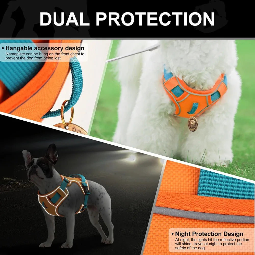 Dogs Chest Strap Dog Harness and Leash Set Small Pet Supplies Puppy Accessories Big Breeds Pets Backpack Large Collar