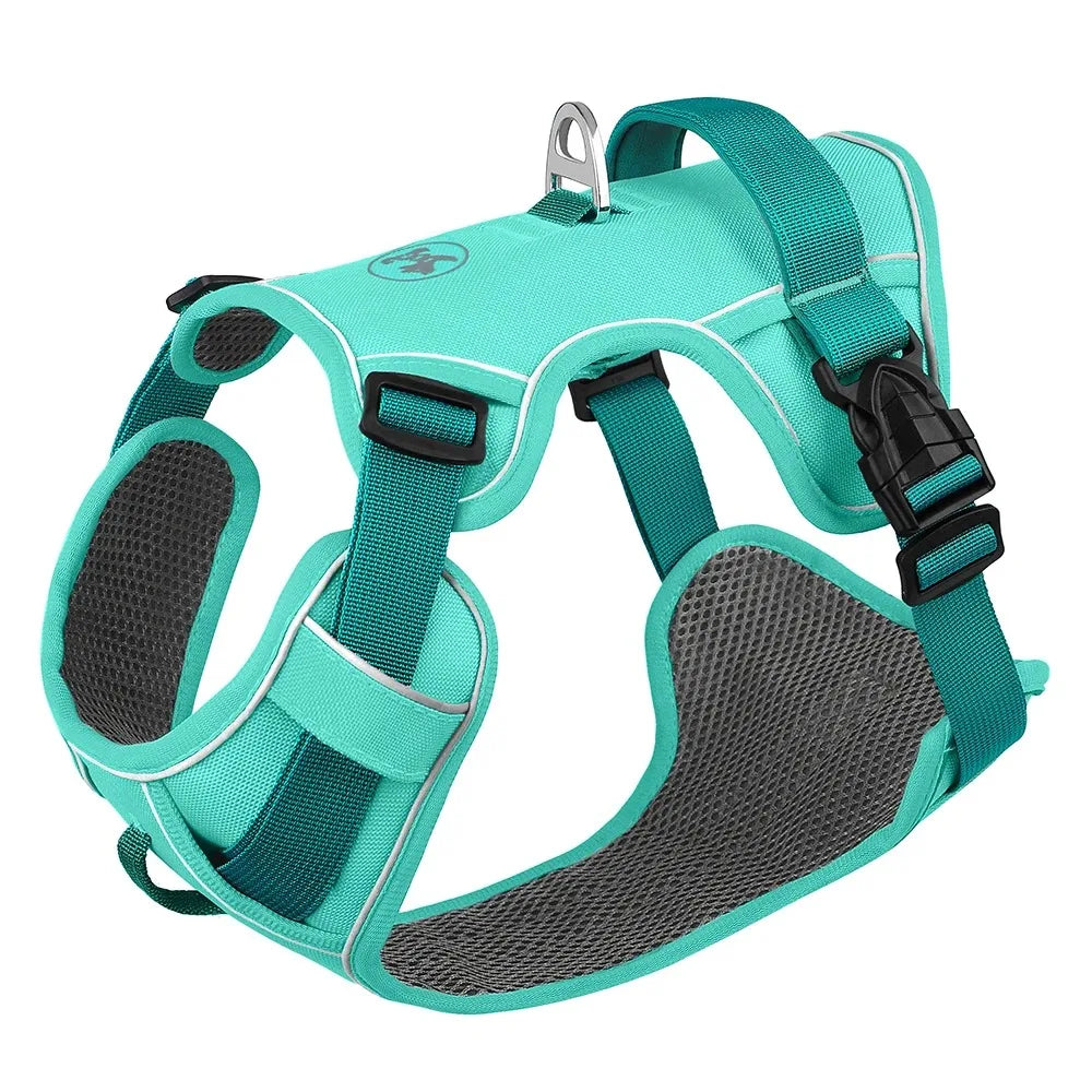 Dogs Chest Strap Dog Harness and Leash Set Small Pet Supplies Puppy Accessories Big Breeds Pets Backpack Large Collar