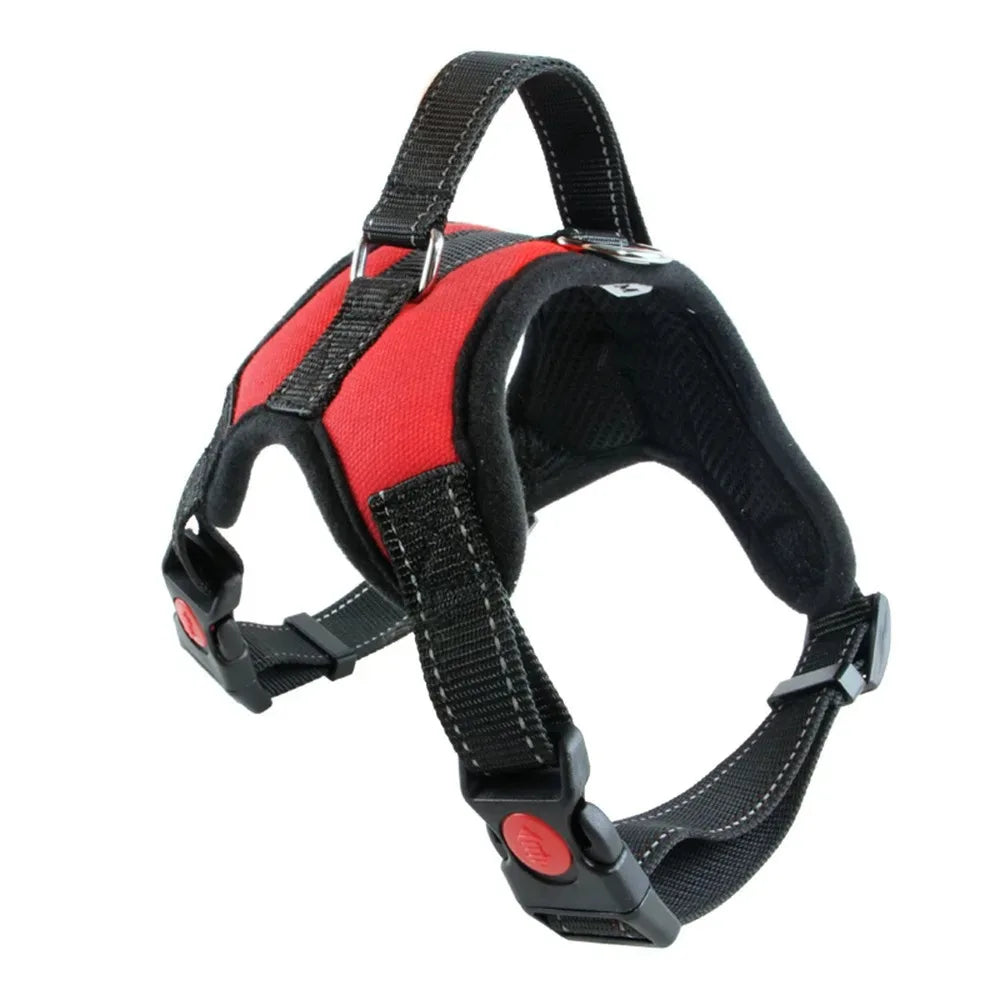 Dog Collars Choker Collar Harness Leash Gps Training Harnesses and Wears Necklaces Lanyard Big Retractable Dogs Accessory Things