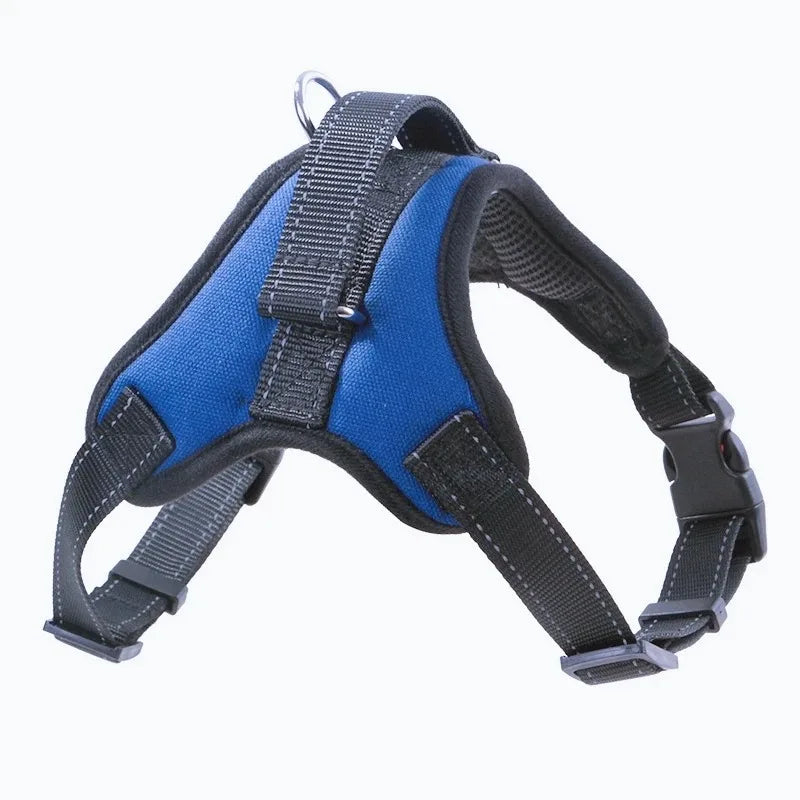 Dog Collars Choker Collar Harness Leash Gps Training Harnesses and Wears Necklaces Lanyard Big Retractable Dogs Accessory Things