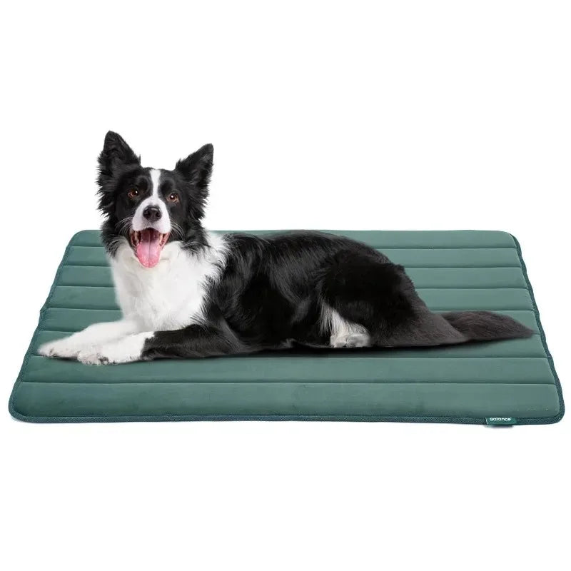 Summer Cooling Pet Bed Sofa Dog Accessory Big Cushion Pets Dogs Baskets Large Beds Products Small Cushions Cats Mat Fluffy Bad