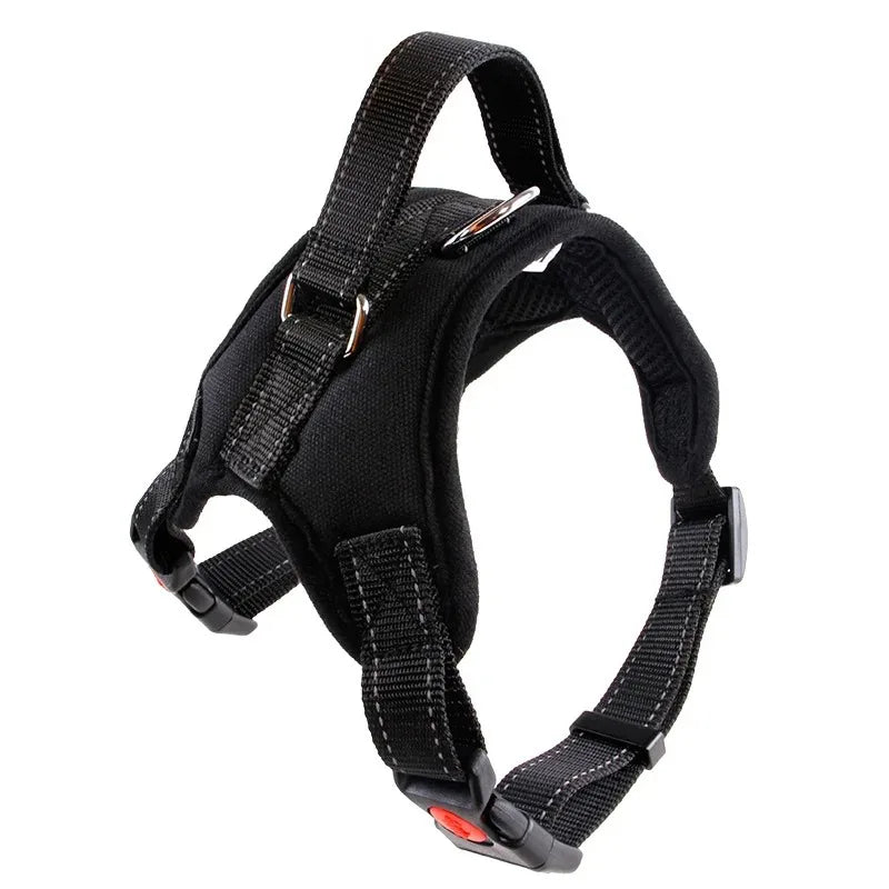 Dog Collars Choker Collar Harness Leash Gps Training Harnesses and Wears Necklaces Lanyard Big Retractable Dogs Accessory Things