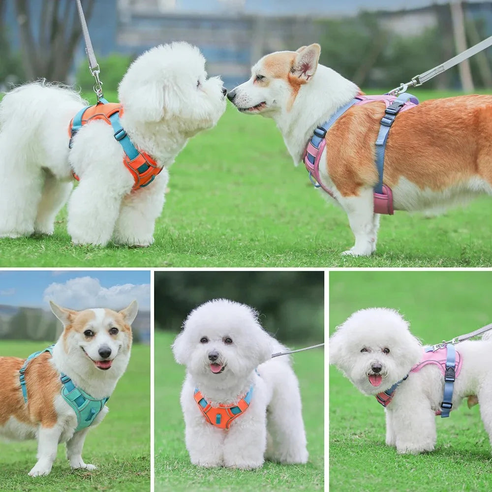 Dogs Chest Strap Dog Harness and Leash Set Small Pet Supplies Puppy Accessories Big Breeds Pets Backpack Large Collar