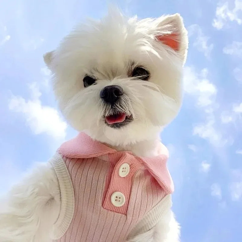 Summer Clothes for Dogs Puppy Shirt Blouse Spring Pets Clothing Dog Doggy Pet Shirts Apparel Supplies