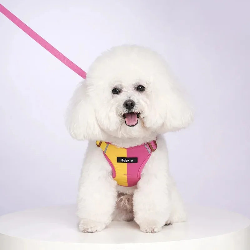 Chest Strap Dog Accessories Collar for Dogs Collars Pet Pets Supplies Cats Big Harness Puppy Small Products Tactical Vest