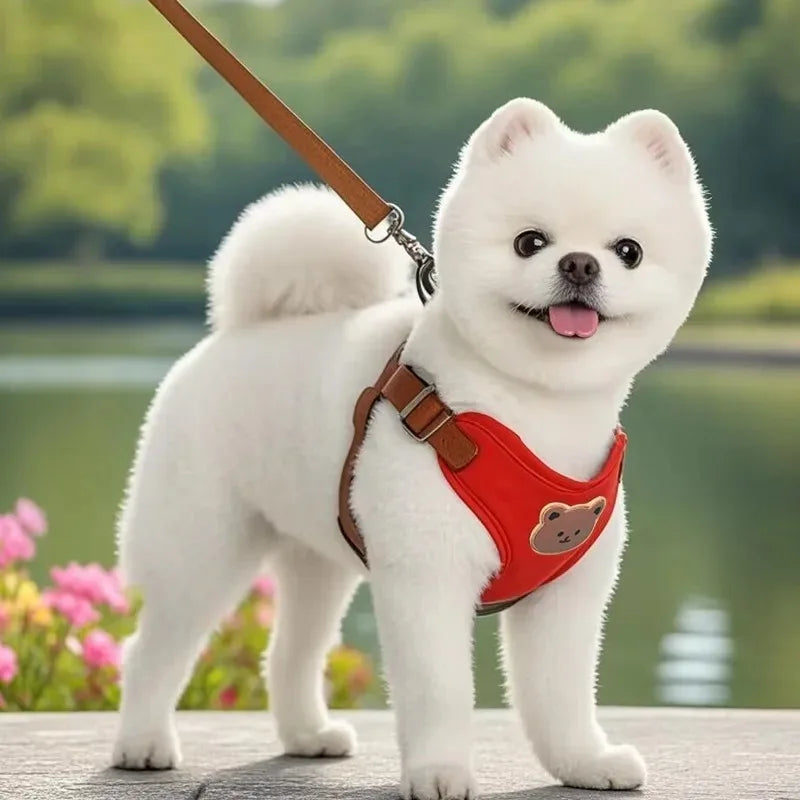 Dog Harness Chest Strap Pet Accessories Dogs Collars Pet Vests Accessories Pets Collar Leash Set Puppy Leather