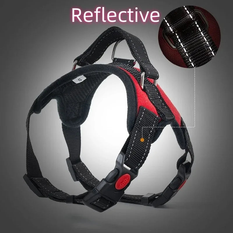 Dog Collars Choker Collar Harness Leash Gps Training Harnesses and Wears Necklaces Lanyard Big Retractable Dogs Accessory Things