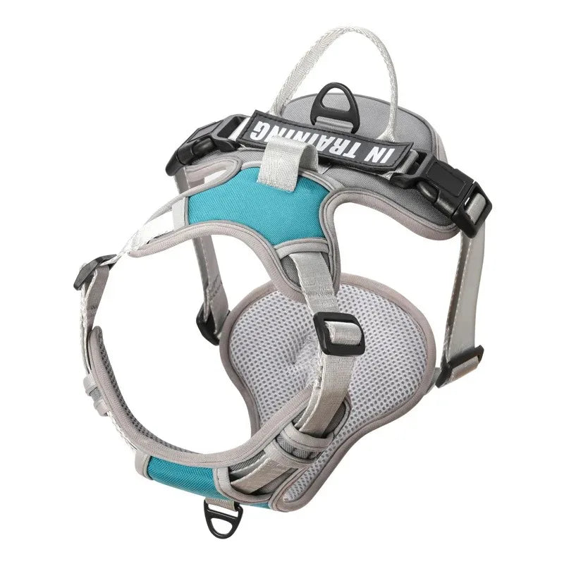 Chest for Dog Harness for Dogs Puppy Accessories Collars Harnesses Leashes Pet Dog Products Collar Leash